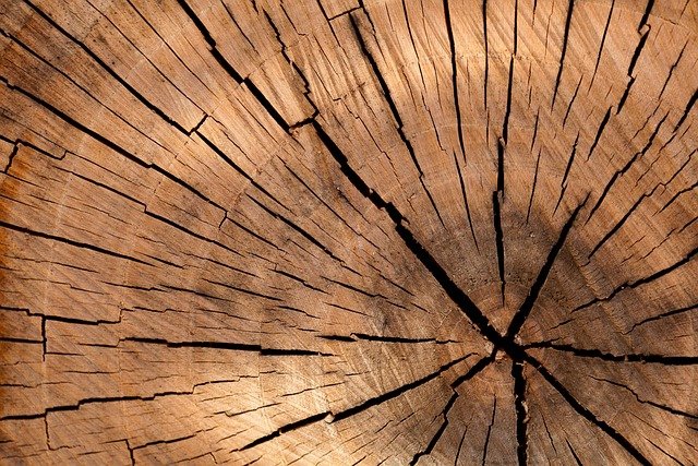 Charlotte Suburb Service Coverage Charlotte Suburb Stump Grinding Fleet