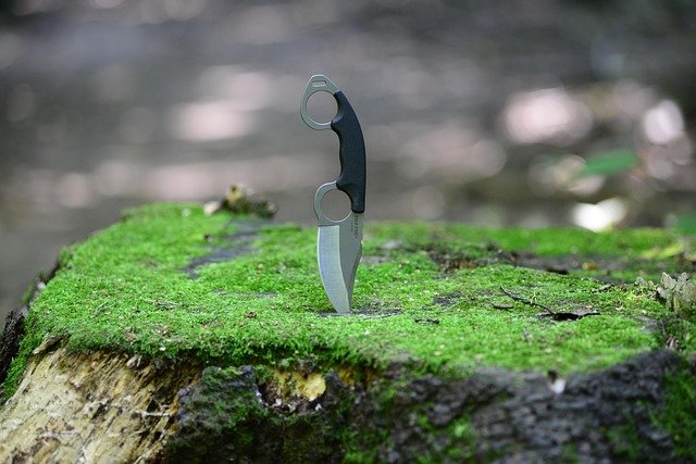 Tree Stump Grinding Service in Windsor Park Charlotte NC