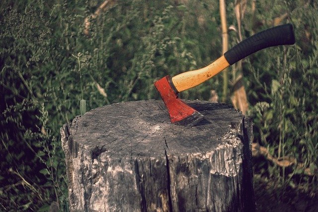 Tree Stump Grinding Service in Starmount Charlotte NC