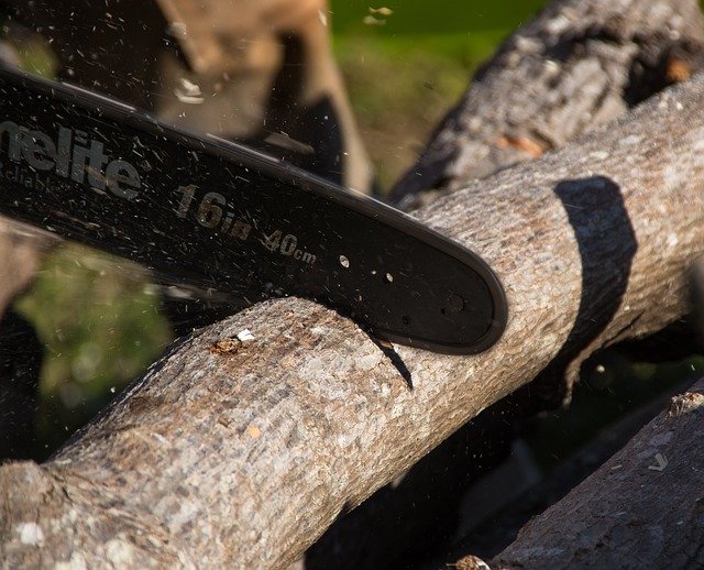 Tree Stump Grinding Service in Reid Park Charlotte NC