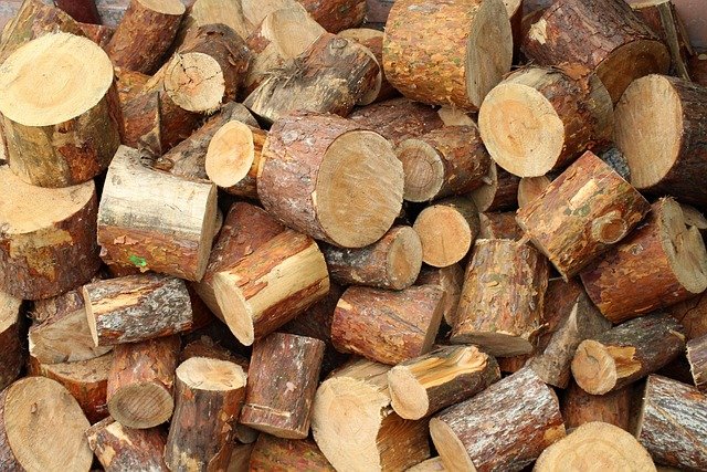 Tree Stump Grinding Service in Raeburn Charlotte NC