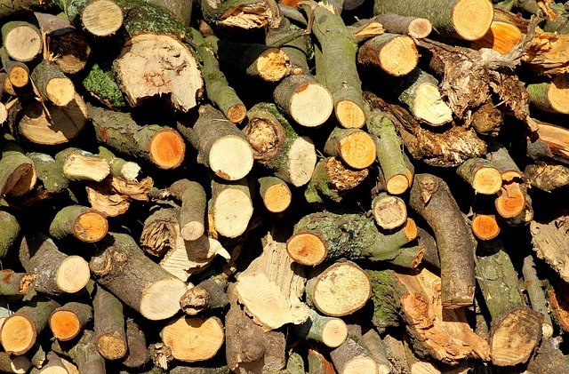 Tree Stump Grinding Service in Oakdale Charlotte NC