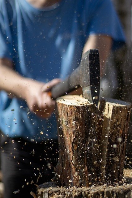 Tree Stump Grinding Service in Croft Charlotte NC