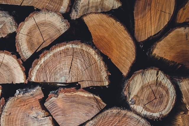 Tree Stump Grinding Service in Ashley Park Charlotte NC