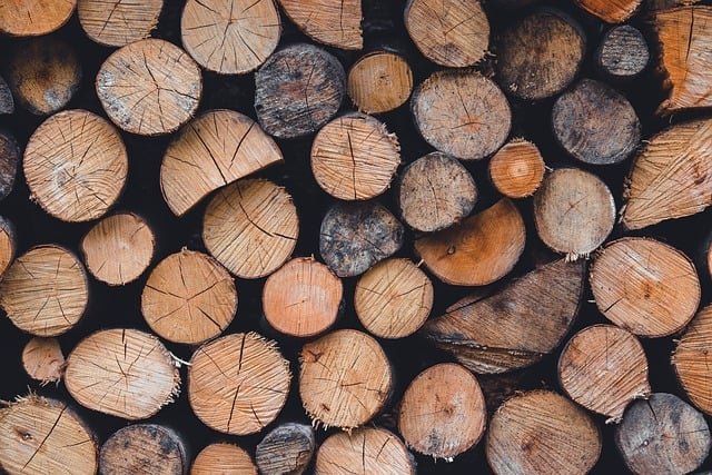 Tree Stump Grinding Service in Arbor Glen Charlotte NC