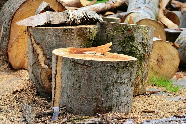 Tree Stump Grinding Service in Hickory Grove Charlotte NC