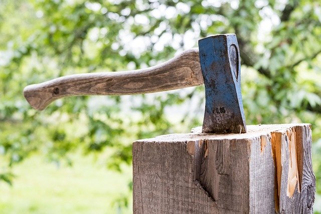 Tree Stump Grinding Service in Stonehaven Charlotte NC
